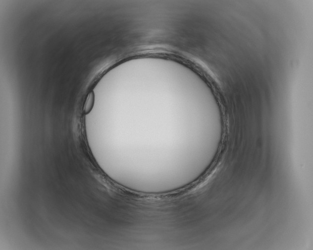 X0000112941405200908240957