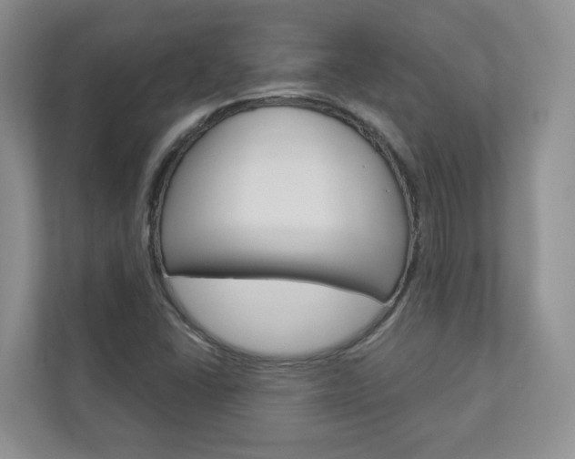X0000112941406200908240957
