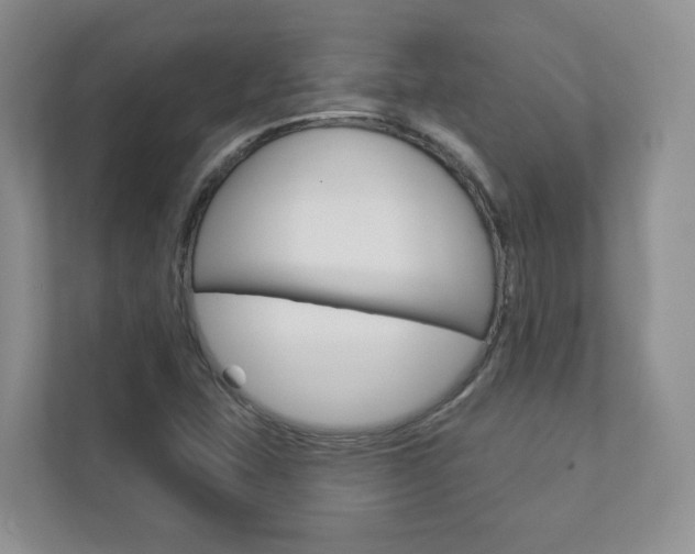 X0000112941407200908240957