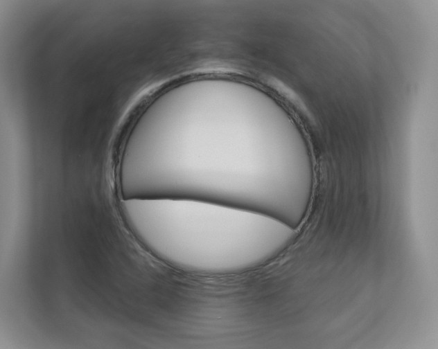 X0000112941408200908240957