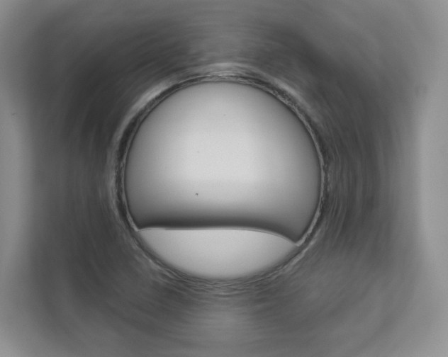 X0000112941410200908240957