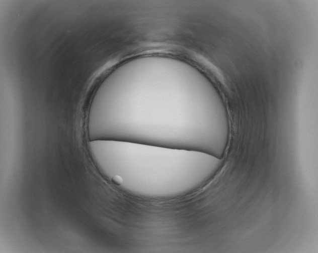X0000112941411200908240957