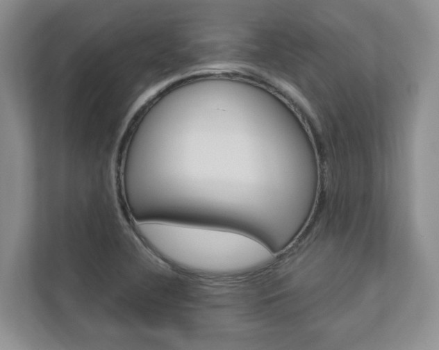 X0000112941412200908240957