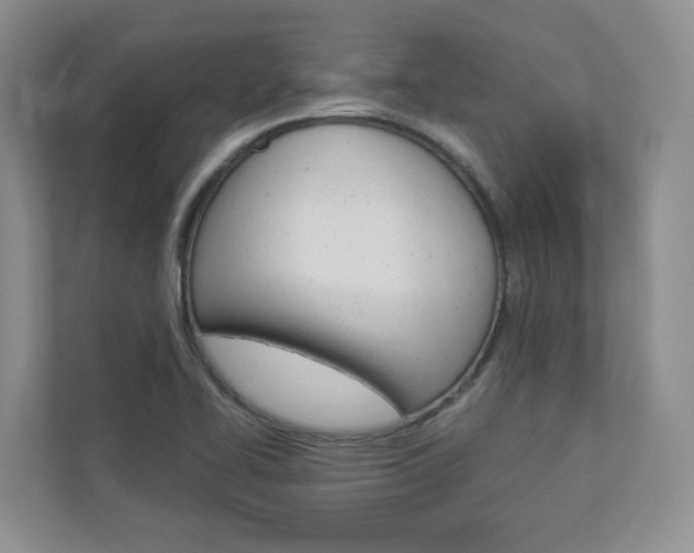 X0000112941414200908240958
