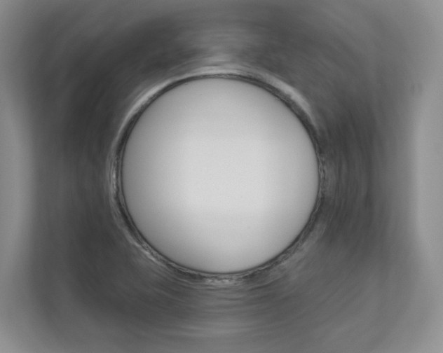 X0000112941415200908240958