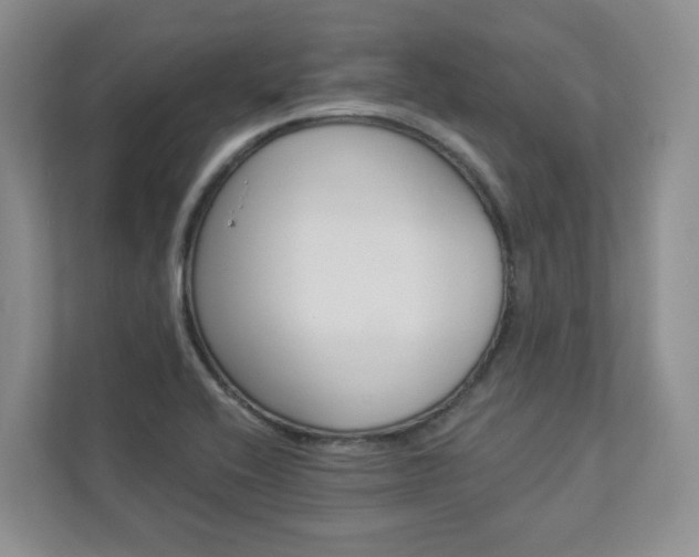 X0000112941416200908240958