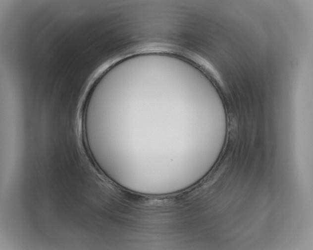 X0000112941419200908240958