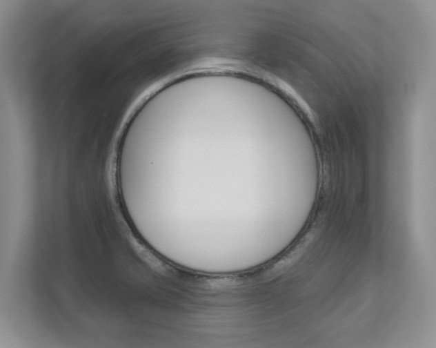X0000112941421200908240958