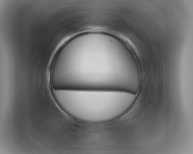 X0000112941424200908240958