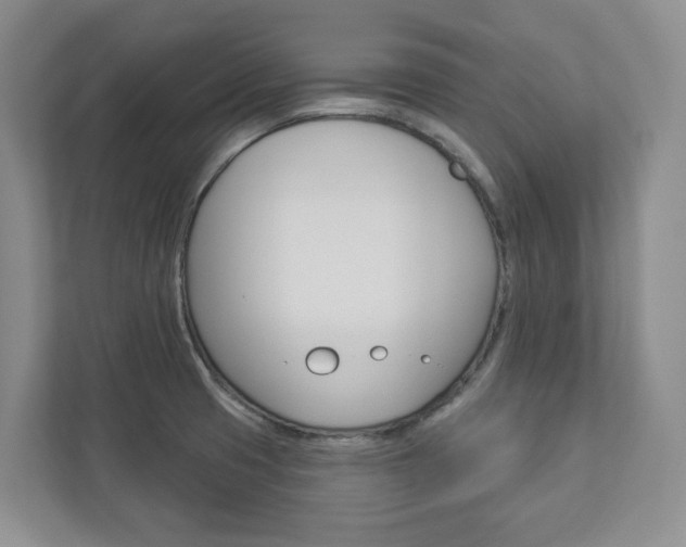 X0000112941425200908240958