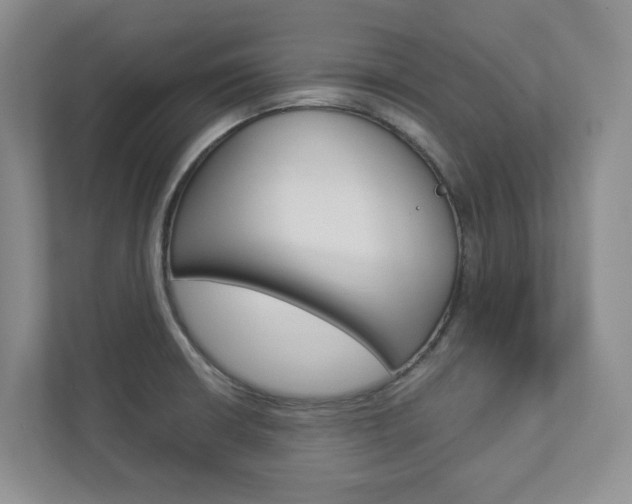 X0000112941426200908240958