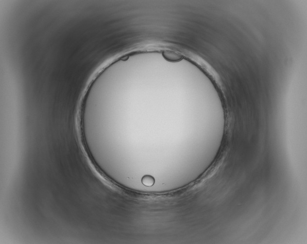 X0000112941429200908240958