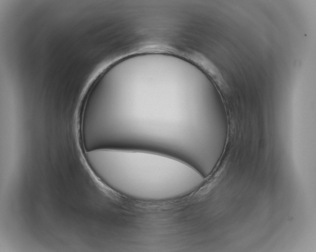 X0000112941430200908240958