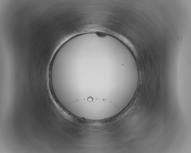 X0000112941431200908240958