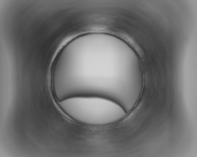 X0000112941432200908240958
