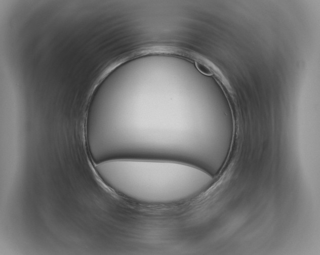 X0000112941433200908240958