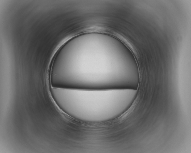 X0000112941434200908240958
