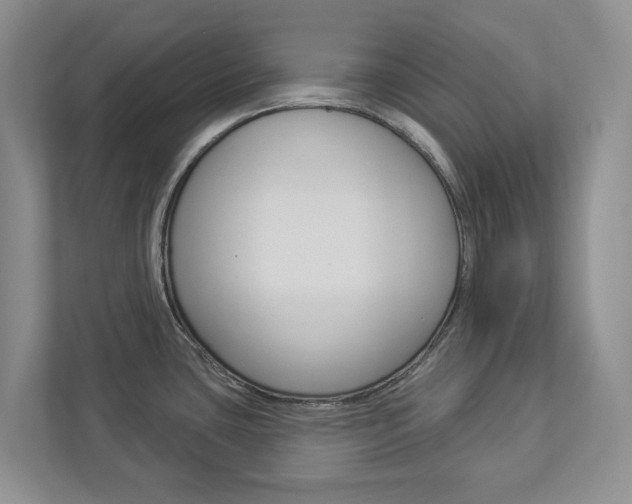 X0000112941435200908240958