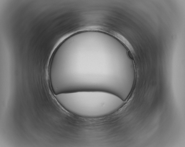 X0000112941436200908240958