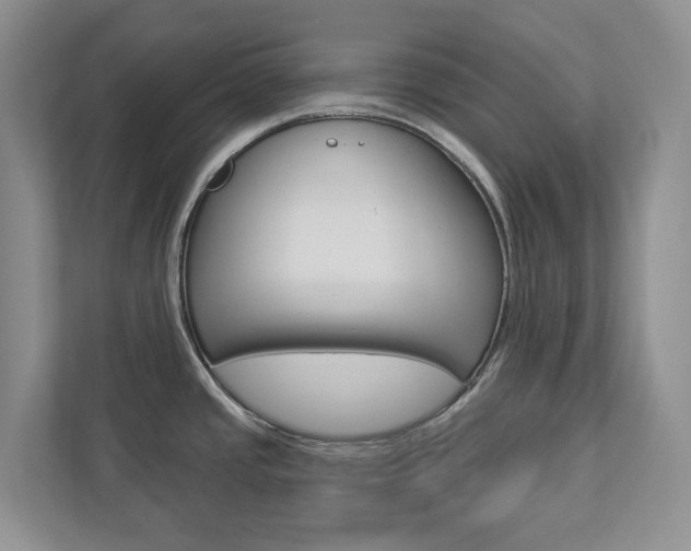 X0000112941437200908240958