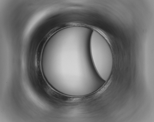 X0000112941438200908240958