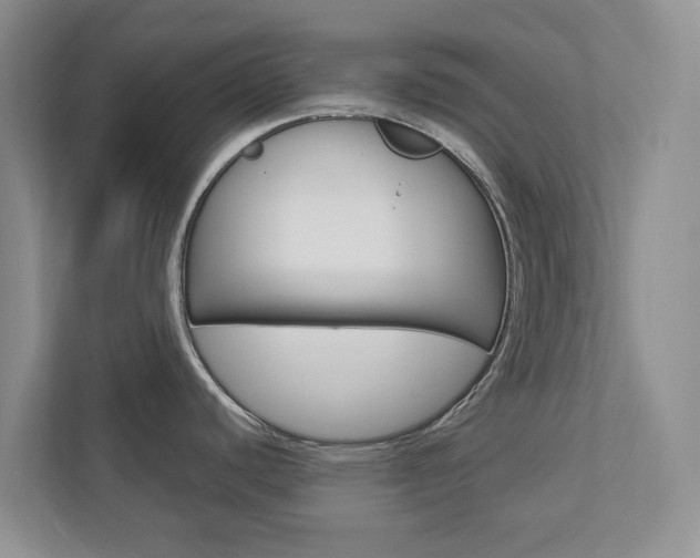 X0000112941440200908240958