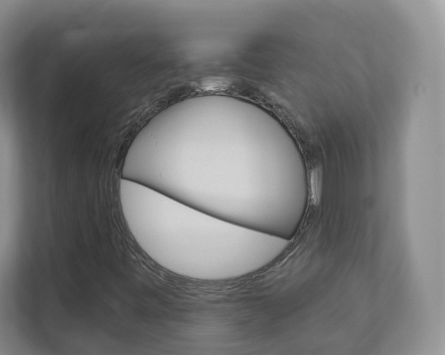 X0000112941443200908240957