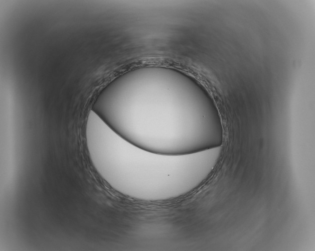 X0000112941445200908240957