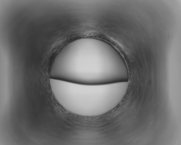 X0000112941447200908240957