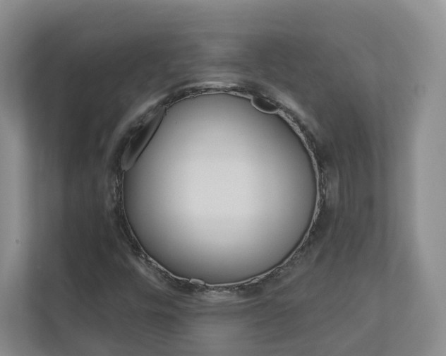 X0000112941448200908240957