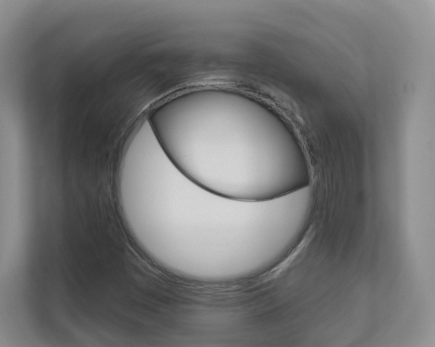 X0000112941449200908240957