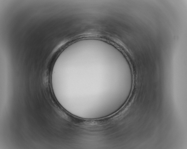 X0000112941450200908240957