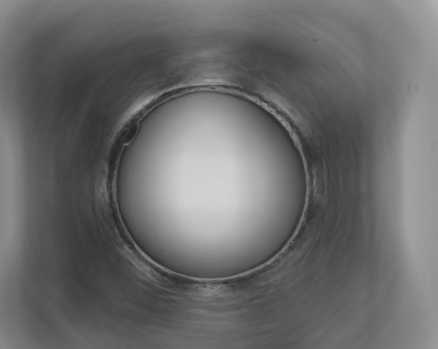 X0000112941452200908240957