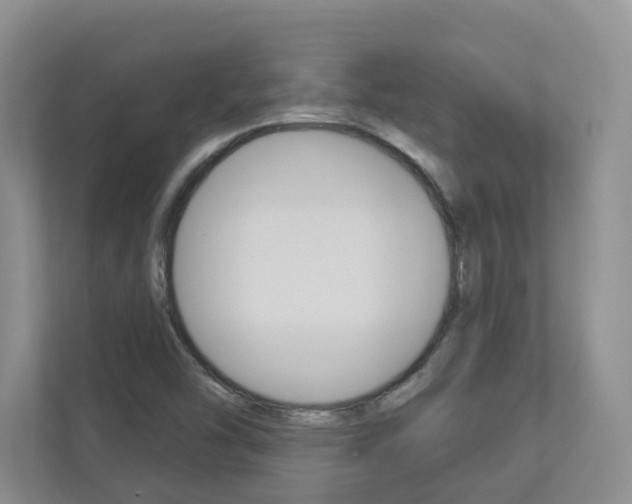 X0000112941454200908240957