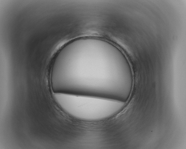 X0000112941455200908240957