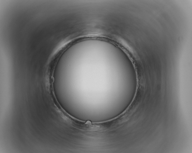 X0000112941456200908240957