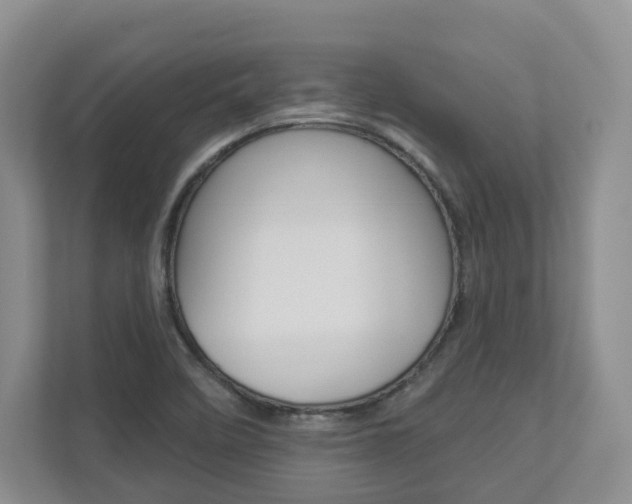 X0000112941458200908240957