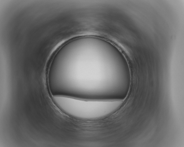 X0000112941460200908240957