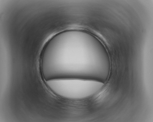 X0000112941463200908240957