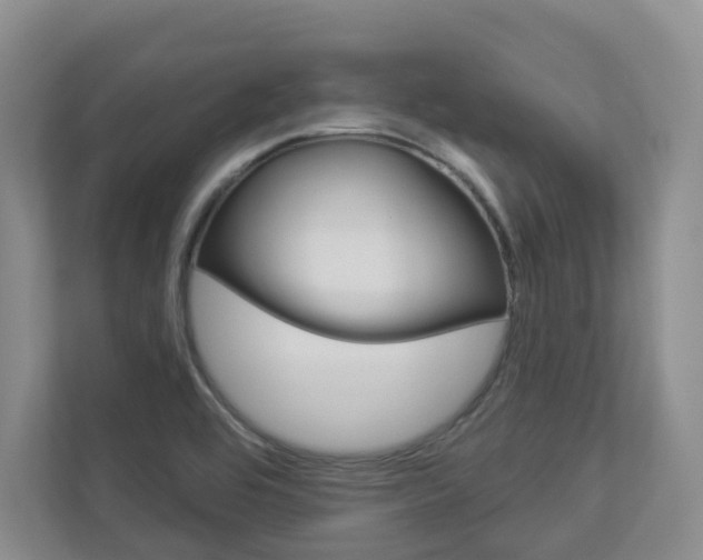 X0000112941464200908240957