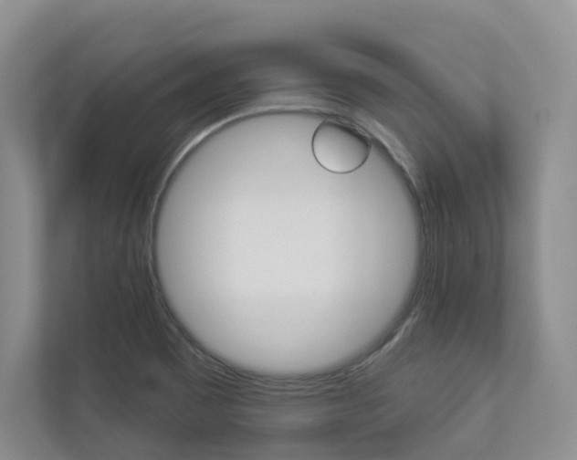 X0000112941465200908240957