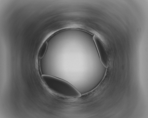 X0000112941468200908240957