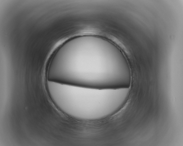 X0000112941469200908240957