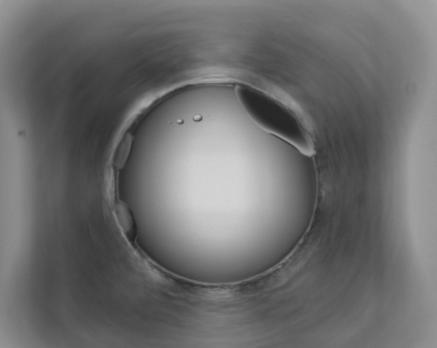 X0000112941472200908240957