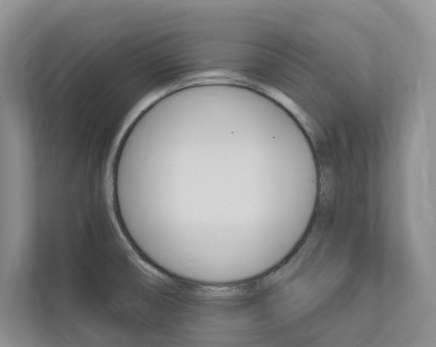 X0000112941474200908240957