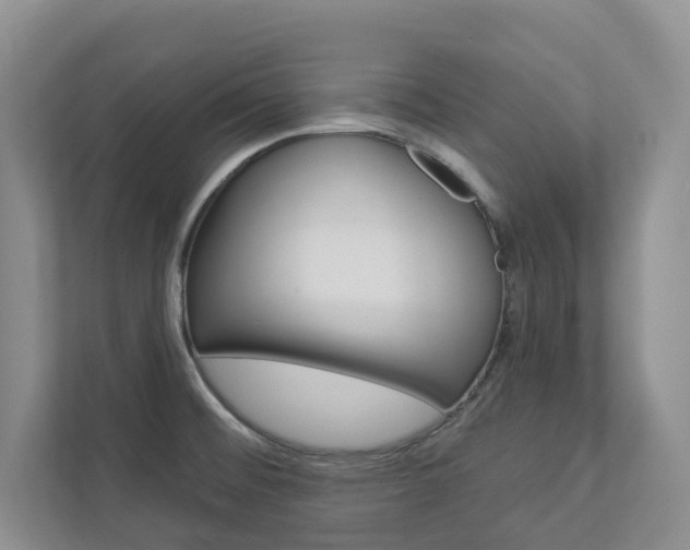 X0000112941476200908240957
