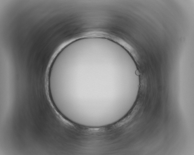 X0000112941478200908240957