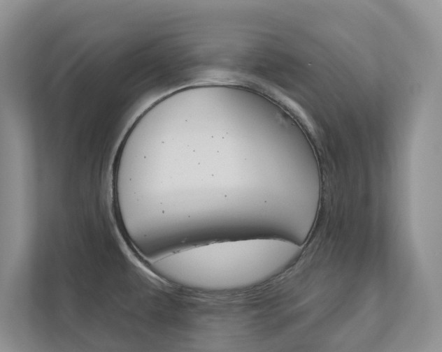 X0000112941479200908240957