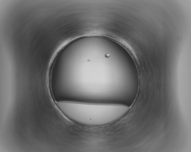 X0000112941480200908240957