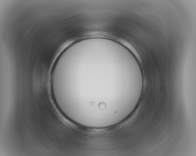 X0000112941482200908240957